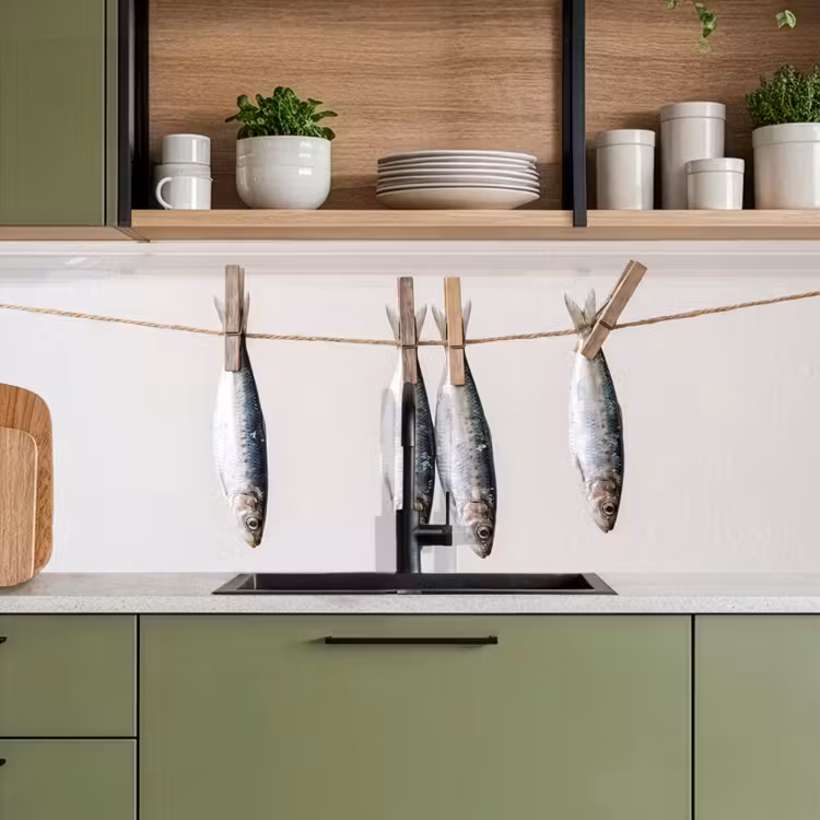 Keuken achterwand - Vis - Hangend - Eten — 8
