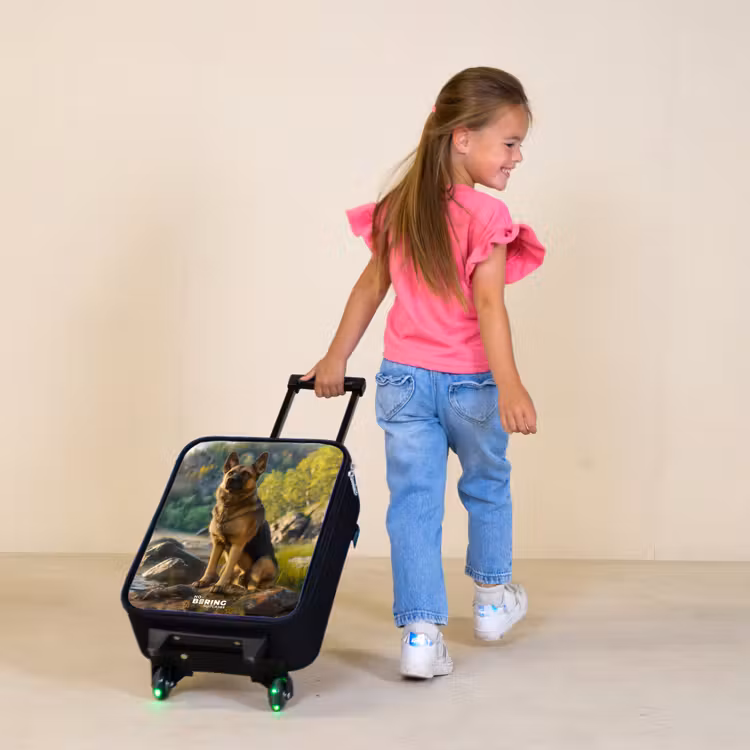 Kinderkoffer - Wakende herdershond op de rotsen — 2