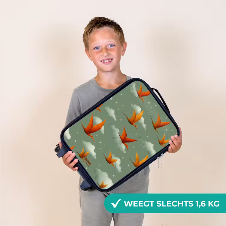 Kinderkoffer - Vliegende pterosaurussen tussen sterren — 3