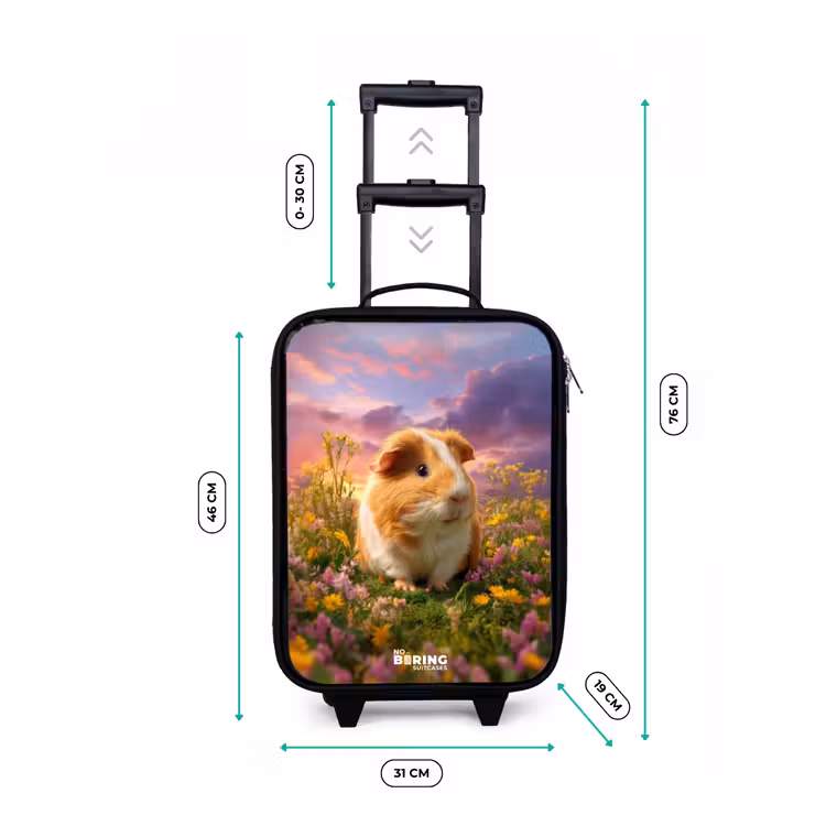 Kinderkoffer - Cavia - Natuur - Dier — 7