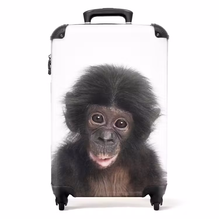 Koffer met naam - Charlie Chimp — 1