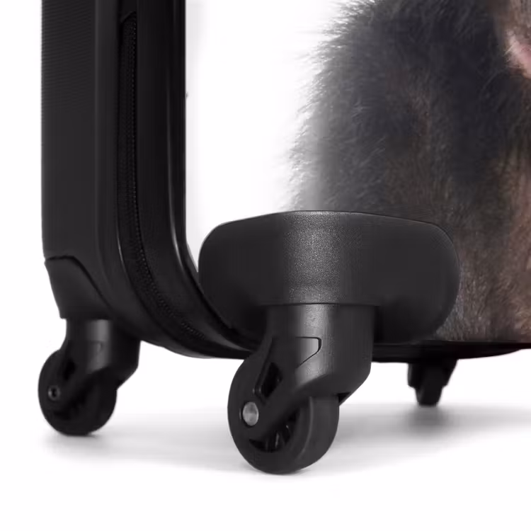 Koffer met naam - Charlie Chimp — 6