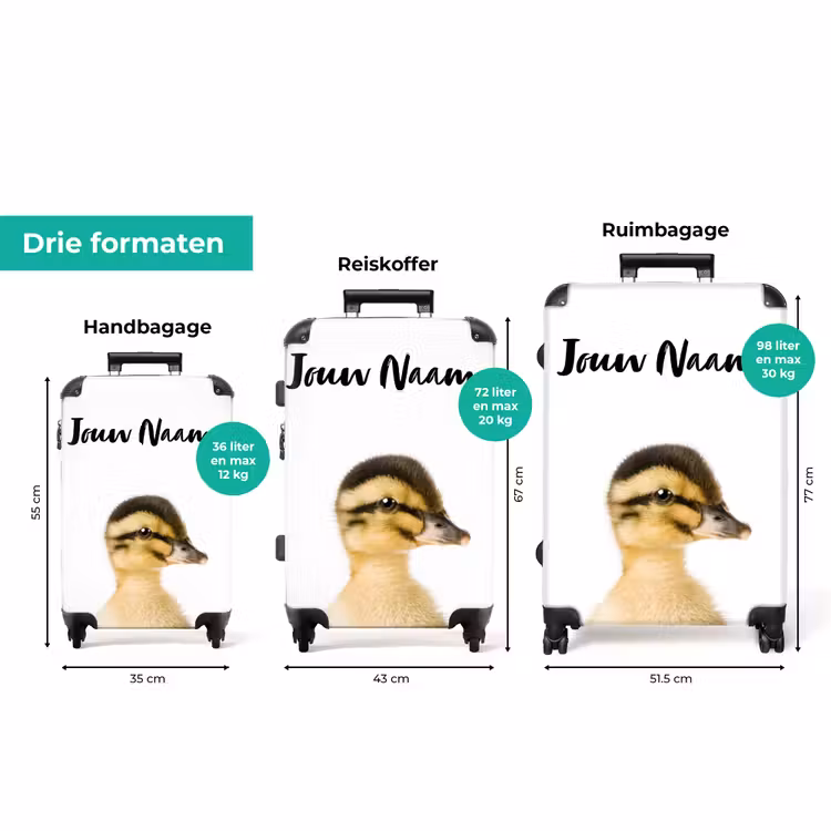Koffer met naam - Daisy Duck — 8