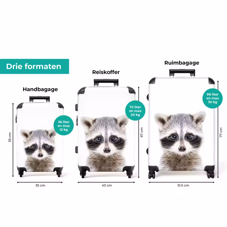 Koffer met naam - Rachid Racoon — 8