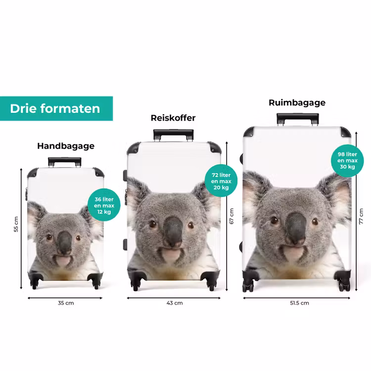 Koffer met naam - Schattige Koala Beer — 8