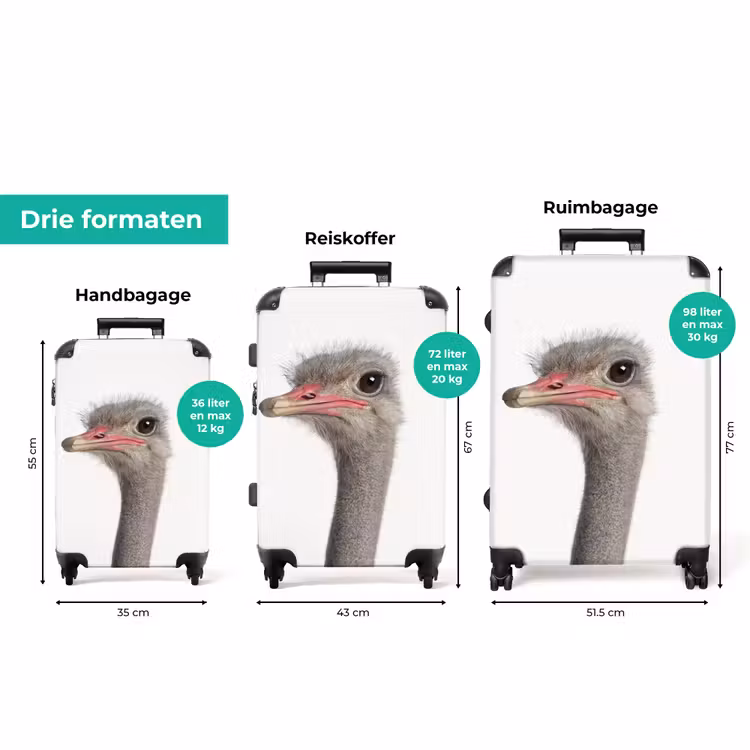 Koffer met naam - Siebrina Struisvogel — 8