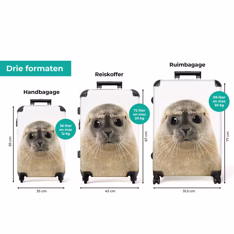 Koffer met naam - Zyon Zeehond — 8