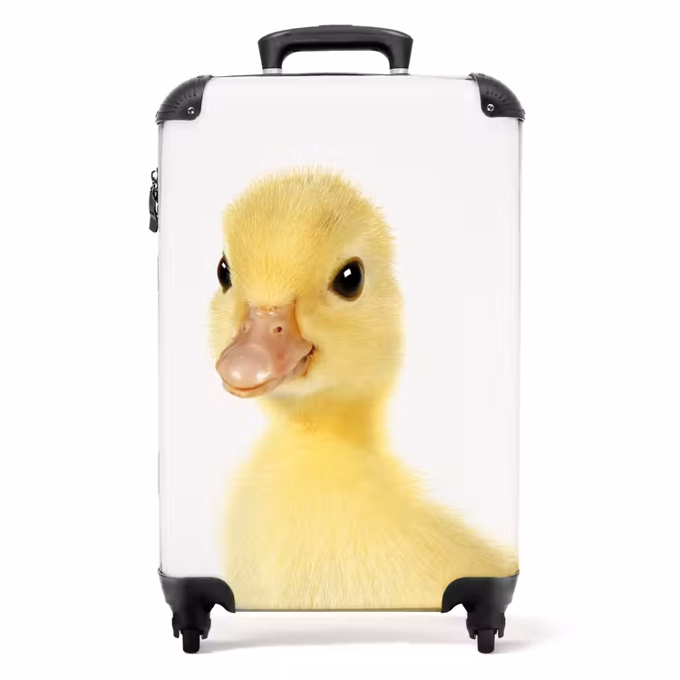 Koffer - Barry de Badeend — 1