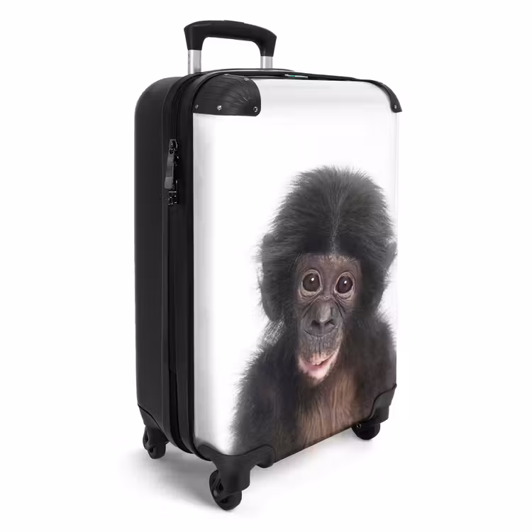 Koffer - Charlie Chimp — 4