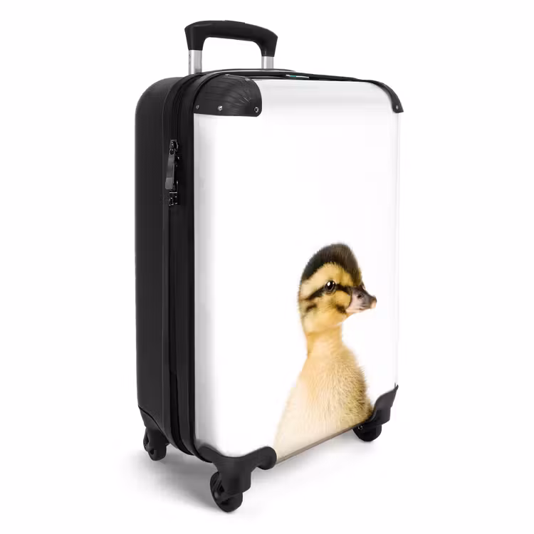 Koffer - Daisy Duck — 4
