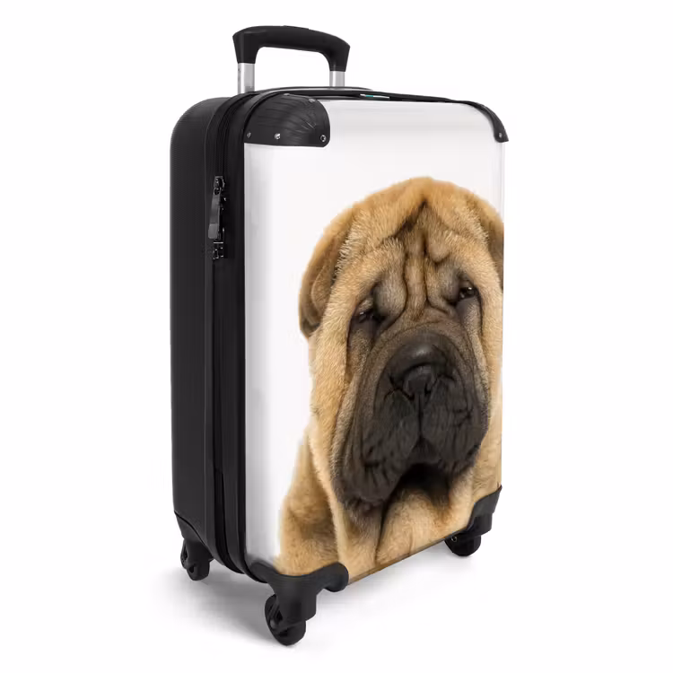 Koffer - Hondje met Boos Hoofd — 4