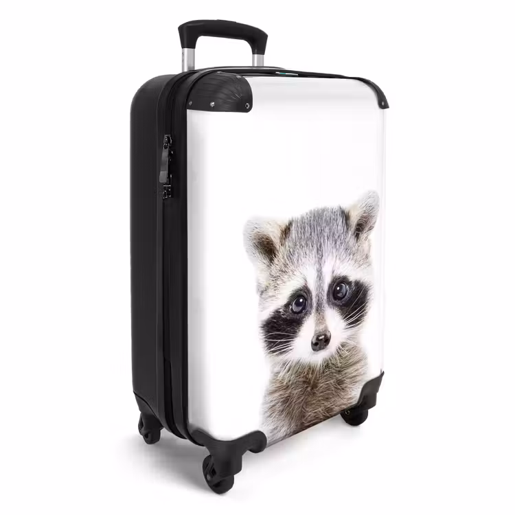 Koffer - Rachid Racoon — 4