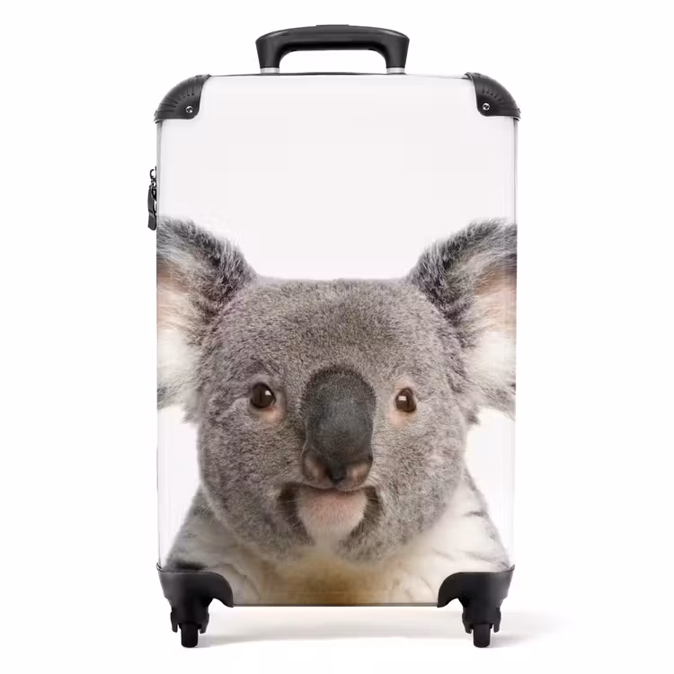 Koffer - Schattige Koala Beer — 1