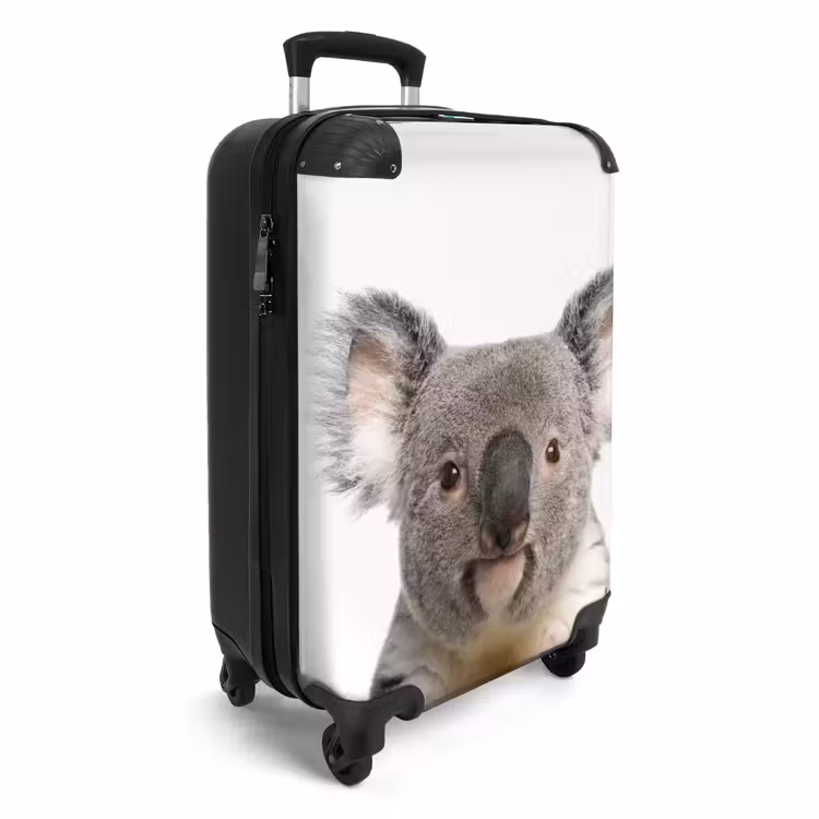 Koffer - Schattige Koala Beer — 4