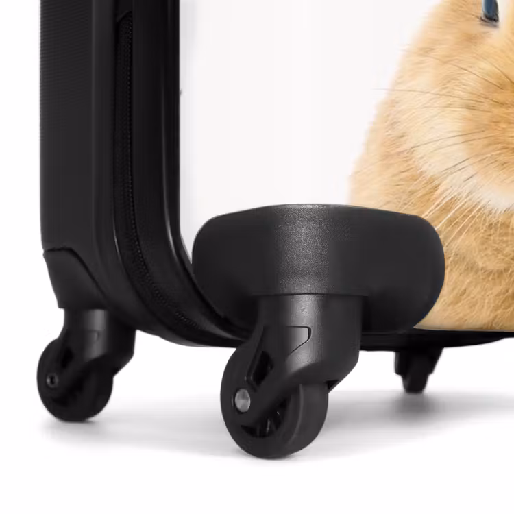 Koffer - Snuffels met Tevreden Hoofd — 6