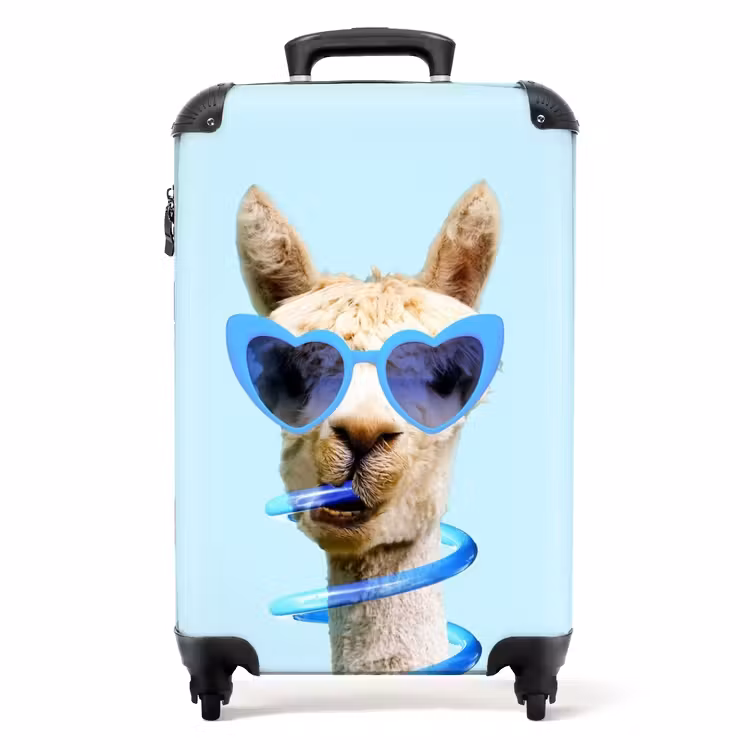 Koffer - Allard Alpaca — 1