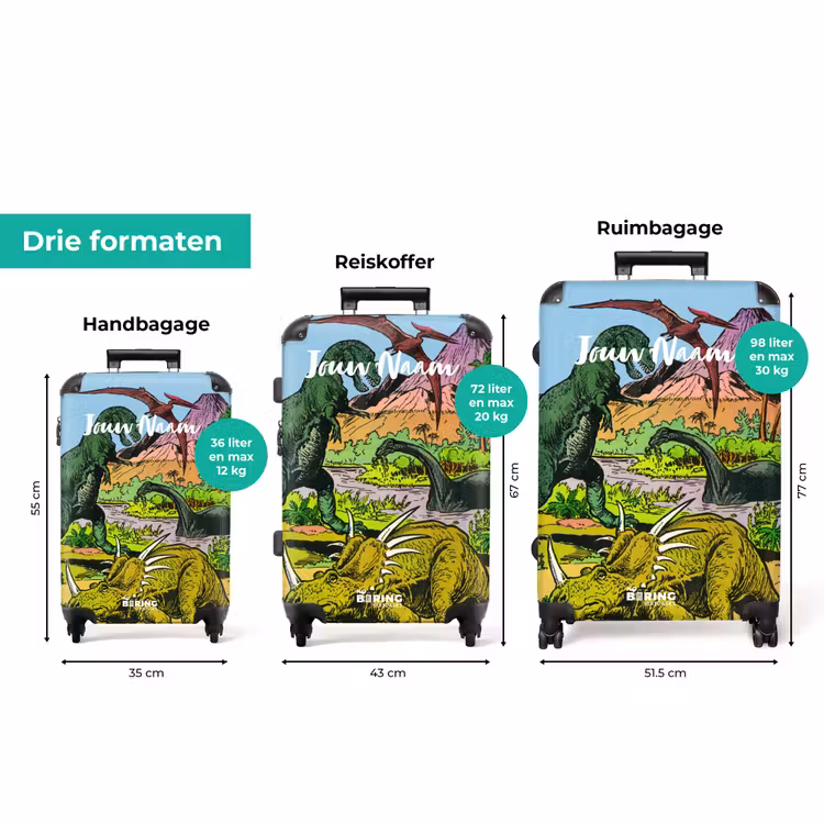 Koffer met naam - Feest in Dinosaurusland — 8