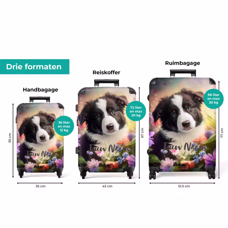 Koffer met naam - Lasse het Hondje — 8