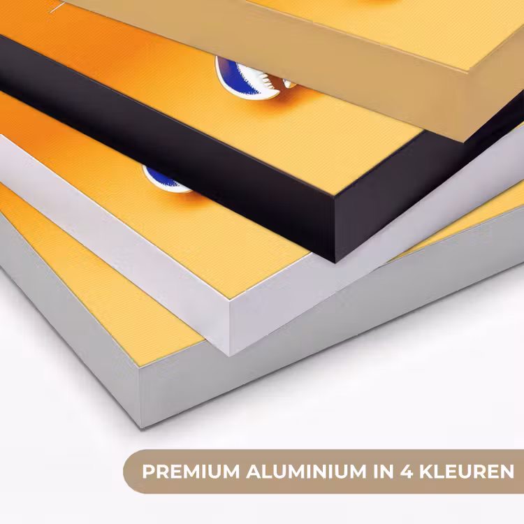 Art Frame - Kreeft - Delftsblauw - Schild - Stoer - Oranje — 5