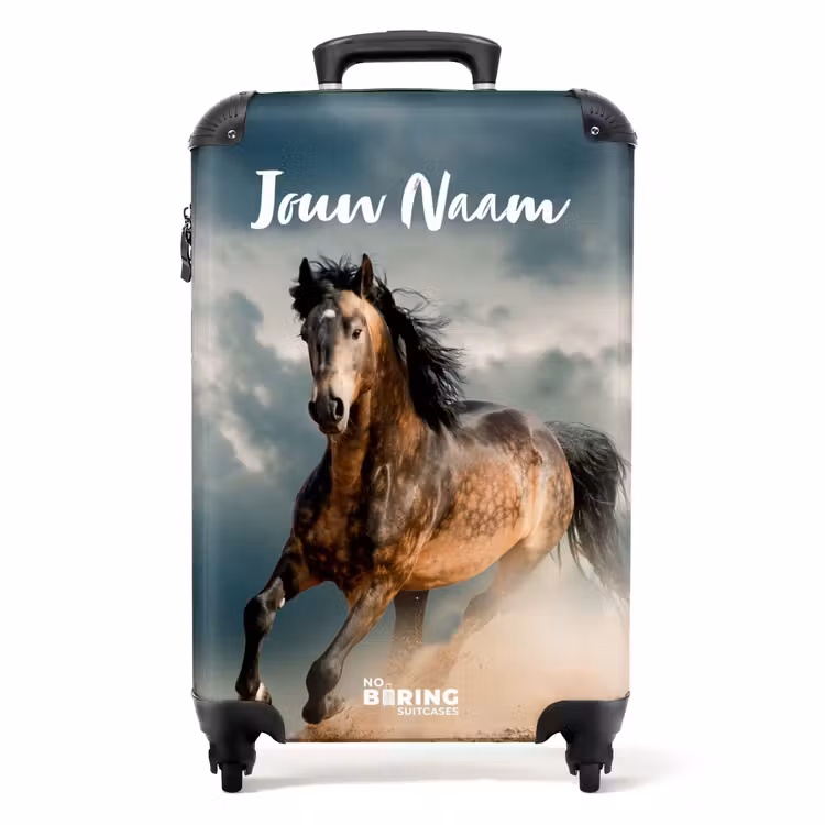 Koffer met naam - Sandy in storm — 1