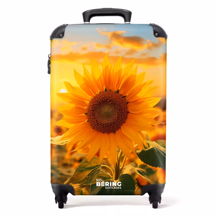 Koffer - Gele zonnebloem bij zonsondergang — 1