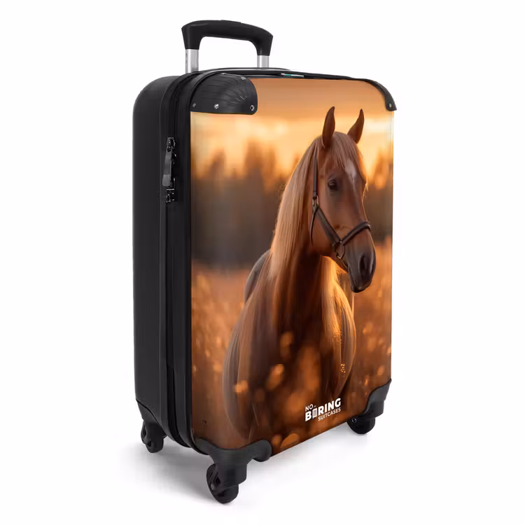 Koffer - Bruin paard in weiland — 4