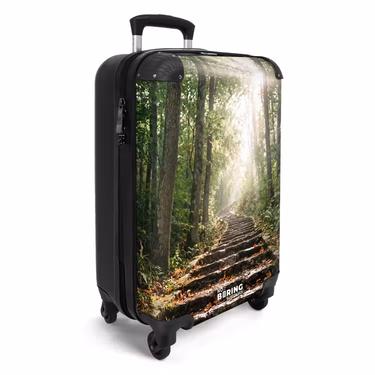Koffer - Stenen - Trap - Bos - Natuur — 4