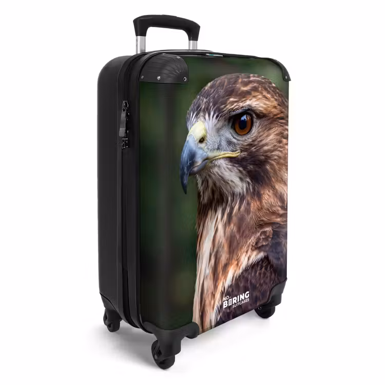 Koffer - Buizerd - Roofvogel - Natuur - Bruin — 4