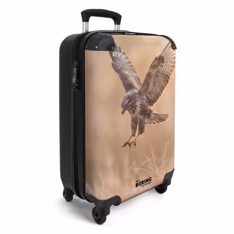 Koffer - Buizerd - Roofvogel - Natuur - Bruin — 4