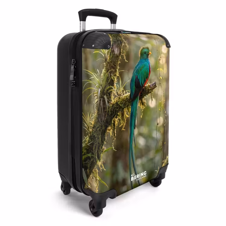Koffer - Quetzal - Jungle - Natuur - Groen — 4