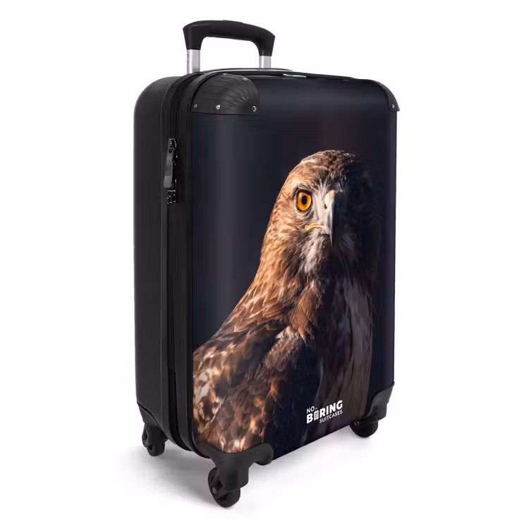 Koffer - Roofvogel - Buizerd - Bruin — 4
