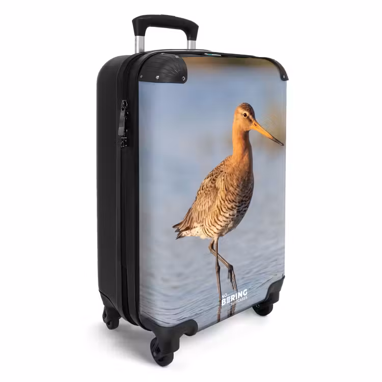 Koffer - Vogel - Steltloper - Water - Natuur — 4