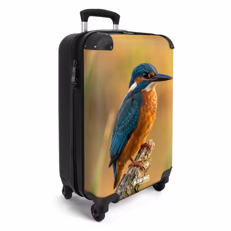 Koffer - IJsvogel - Tak - Water - Kleurrijk - Levendig — 4