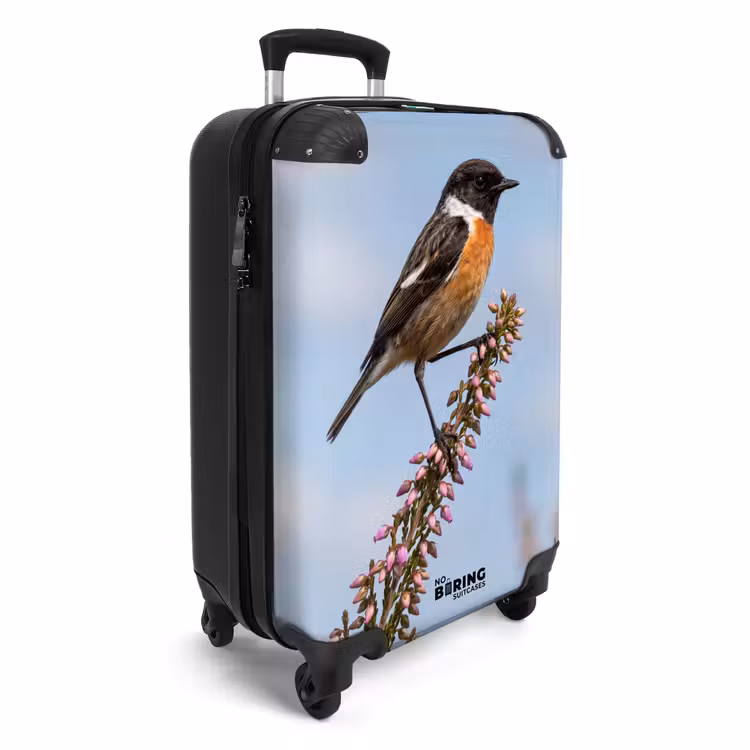 Koffer - Roodborsttapuit - Heide - Paars - Natuur - Sfeervol — 4