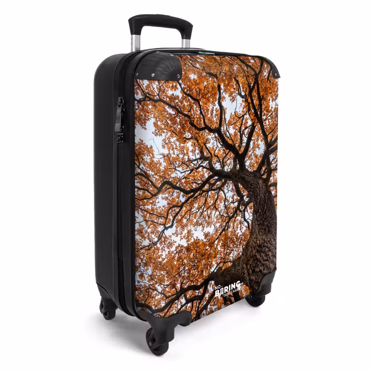 Koffer - Boom - Bladerdak - Herfst - Oranje - Sfeervol — 4