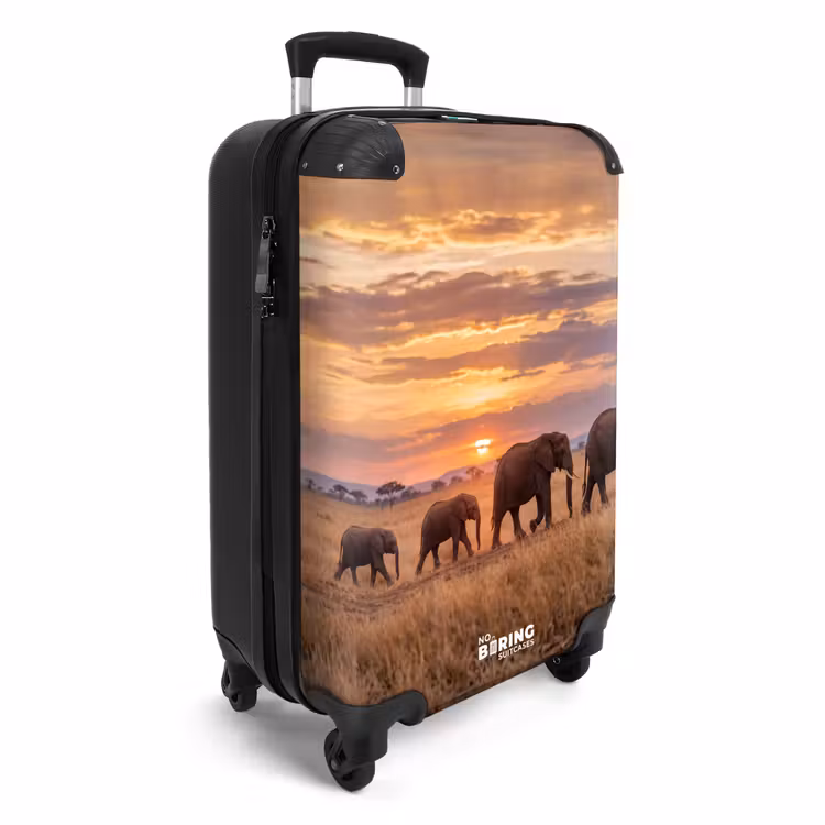 Koffer - Olifanten - Savanne - Zonsondergang - Afrika - Warm — 4