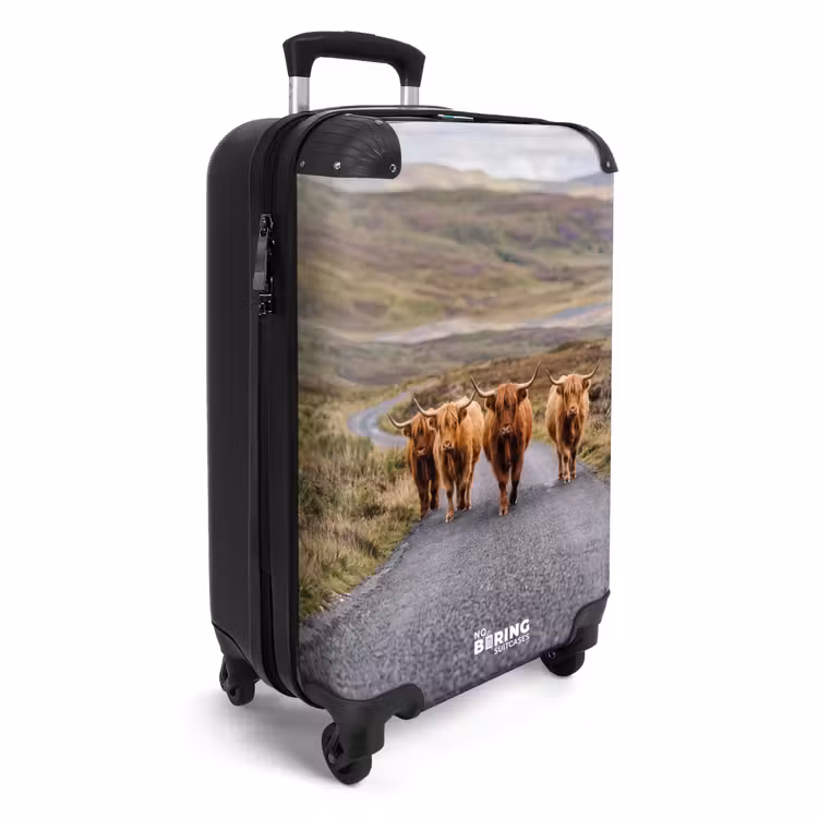 Koffer - Schotse Hooglanders - Weg - Landschap - Kudde — 4