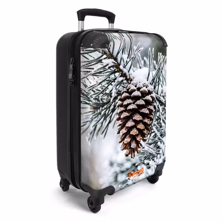 Koffer - Dennenappel - Tak - Sneeuw - Winter - Sfeervol — 4