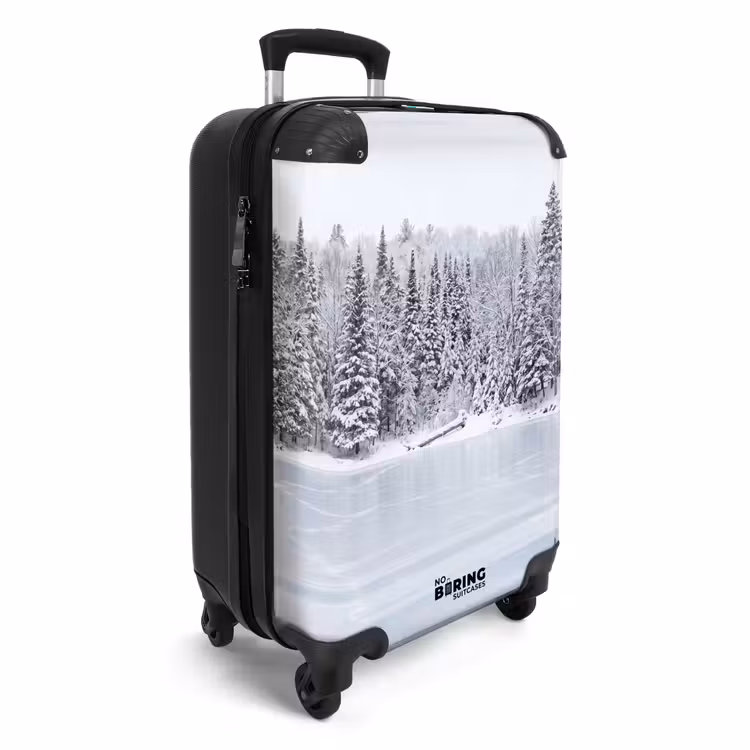 Koffer - Meer - Dennen - IJs - Winter - Rustgevend — 4