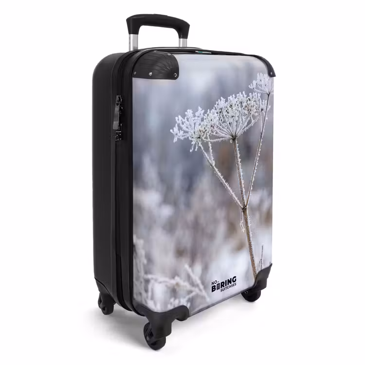 Koffer - Schermbloem - Rijp - Kristallen - Winter - Delicaat — 4
