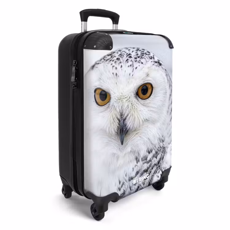 Koffer - Sneeuwuil - Oog - Wildlife - Wit — 4