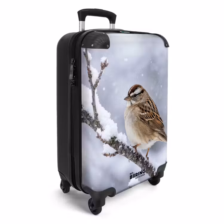Koffer - Vogel - Tak - Sneeuw - Winter — 4