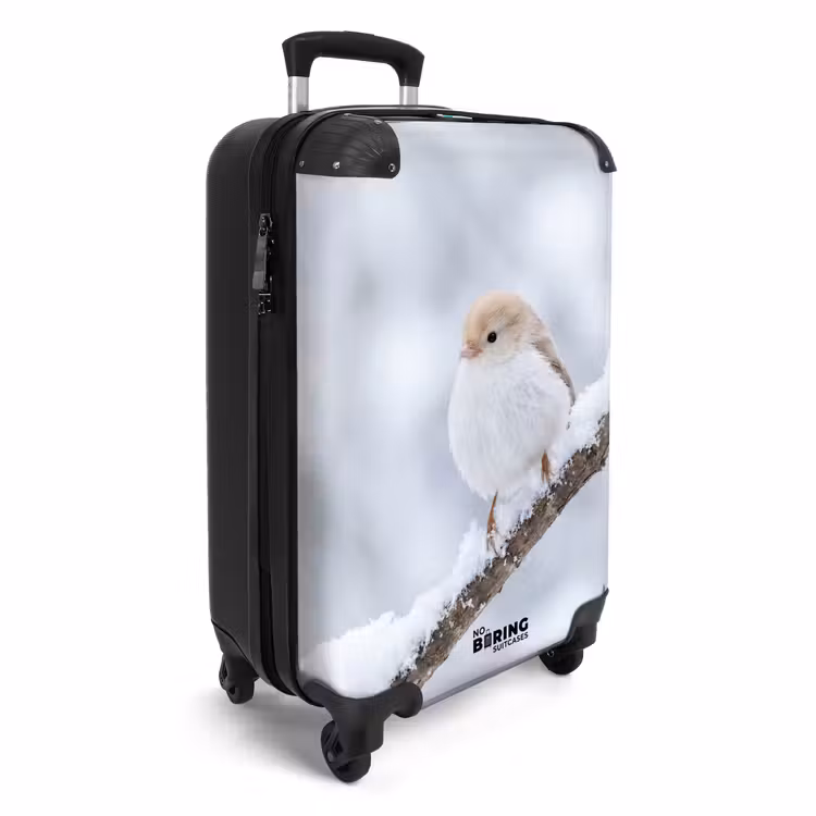 Koffer - Vogeltje - Sneeuw - Tak - Winter - Zacht — 4