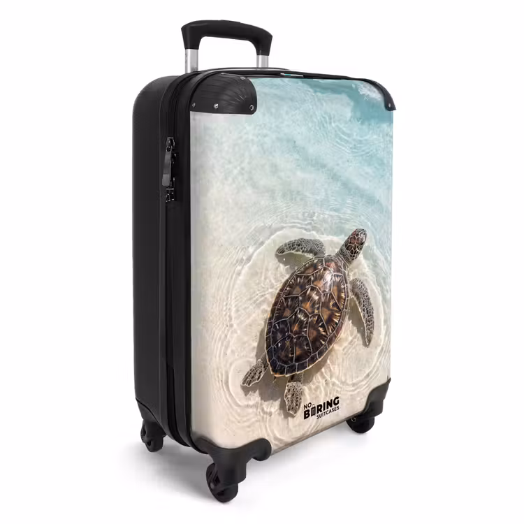 Koffer - Schildpad - Helder water - Strand - Dieren - Natuur — 4