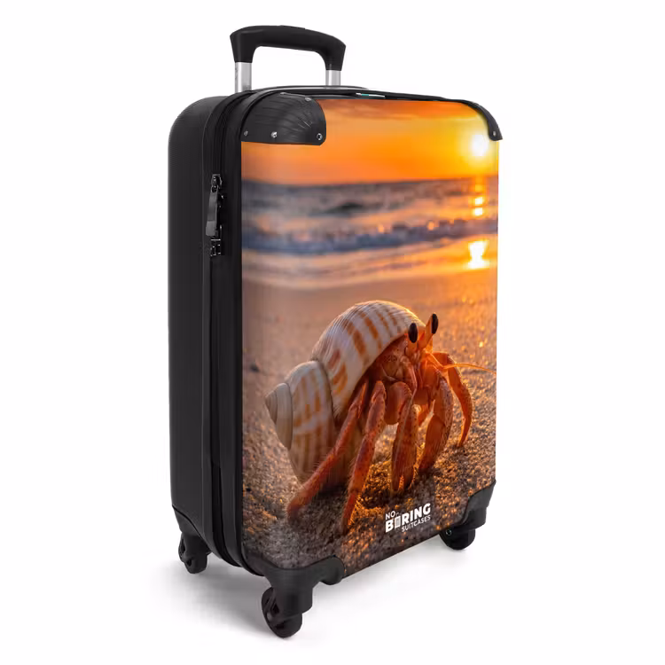 Koffer - Kreeft - Strand - Natuur - Zonsondergang - Oranje — 4