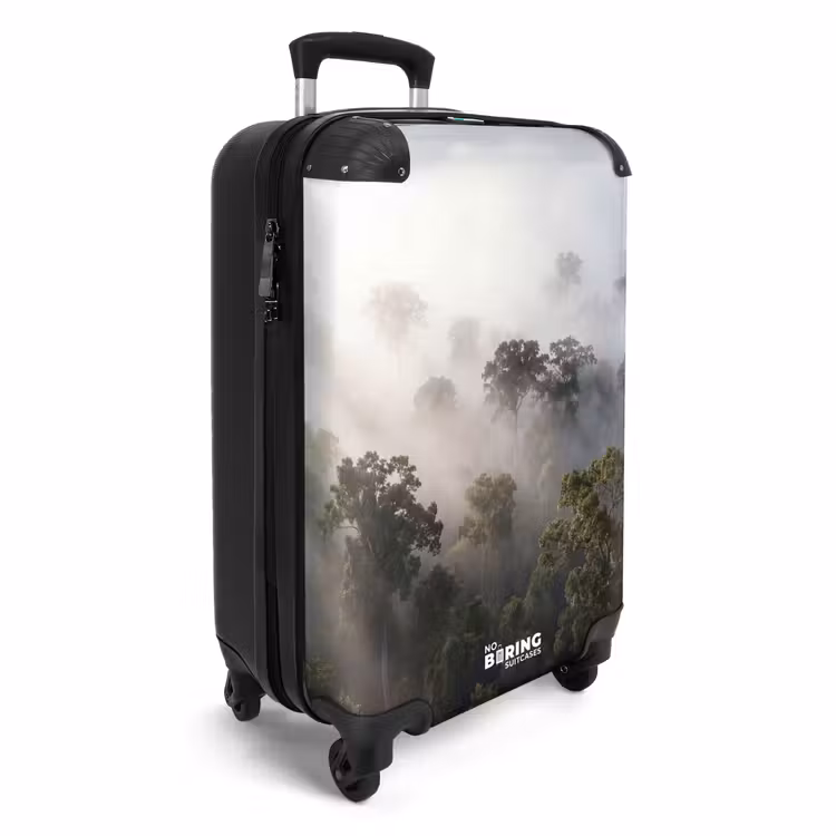 Koffer - Bos - Mist - Natuur - Groen — 4