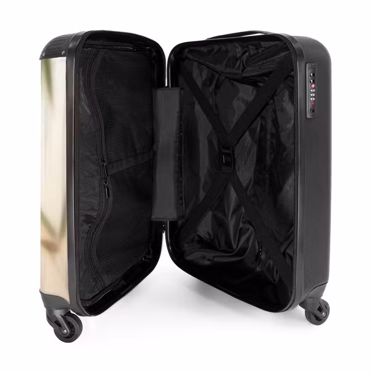 Koffer - Planten - Bladeren - Natuur - Groen — 3