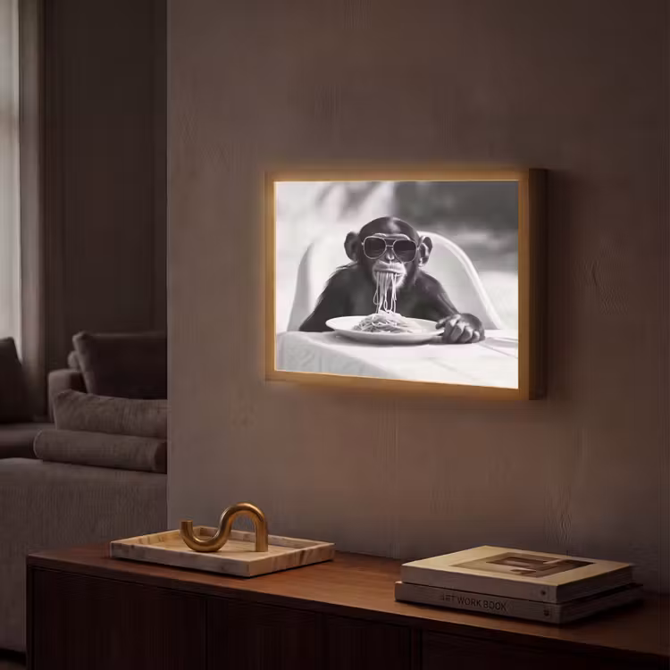 Lightbox - Wandlamp - Aap - Spaghetti - Zonnebril - Zwart wit - Cool - Dier — 2