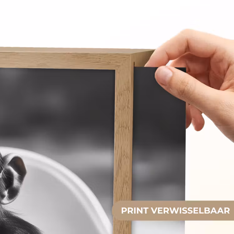 Lightbox - Wandlamp - Aap - Spaghetti - Zonnebril - Zwart wit - Cool - Dier — 5