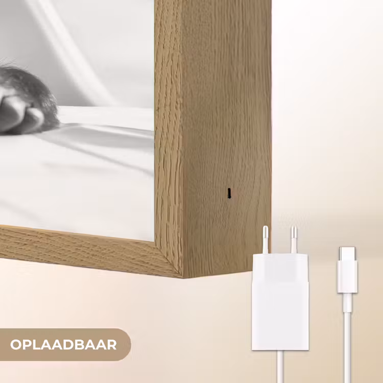 Lightbox - Wandlamp - Aap - Spaghetti - Zonnebril - Zwart wit - Cool - Dier — 7